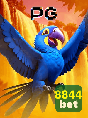 8844 BET bônus — cashback 15 por cento e níveis VIP